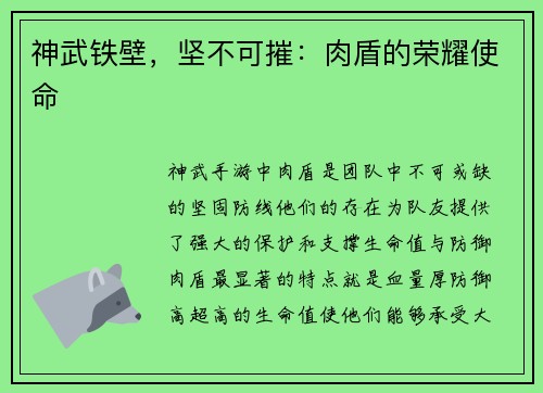 神武铁壁,坚不可摧:肉盾的荣耀使命